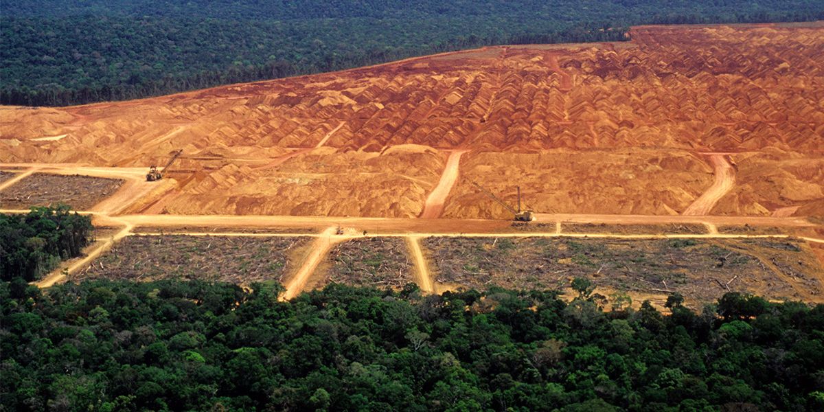 ECOWARRIORSS's tweet image. What happens in the Amazon rain forest will effect every person and living creature on the planet - to allow one leader of Brazil to destroy the Amazon and the many billions whose life will be changed forever without the Amazon is madness and world does nothing but promote more