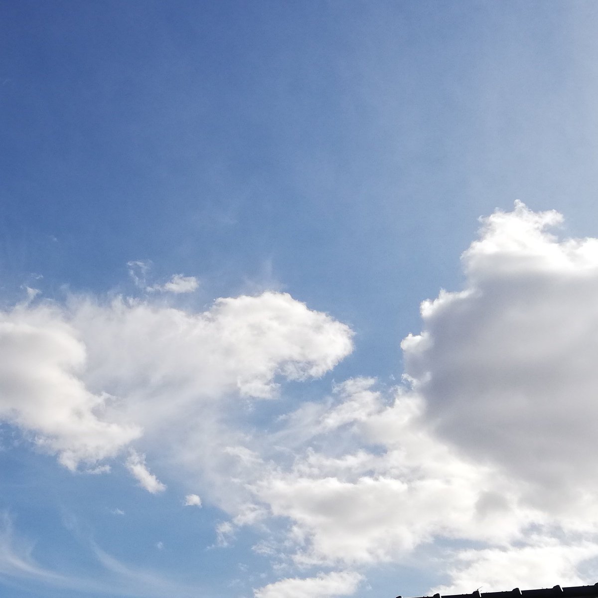 Hrm248's tweet image. #新しいプロフィール画像