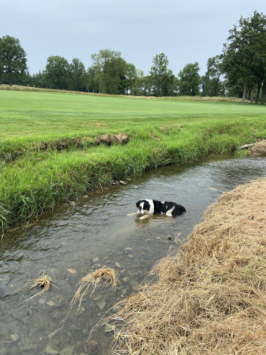 Chris Allender tweet media