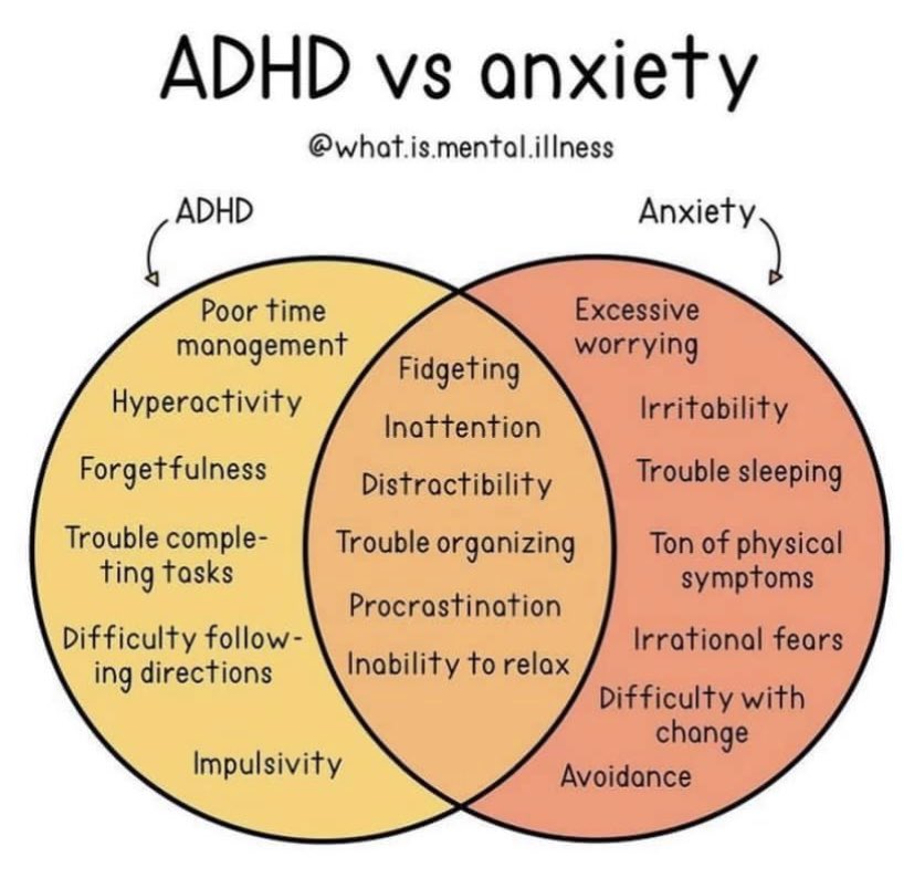 Brandi Knutton (@brandiknutton) on Twitter photo 