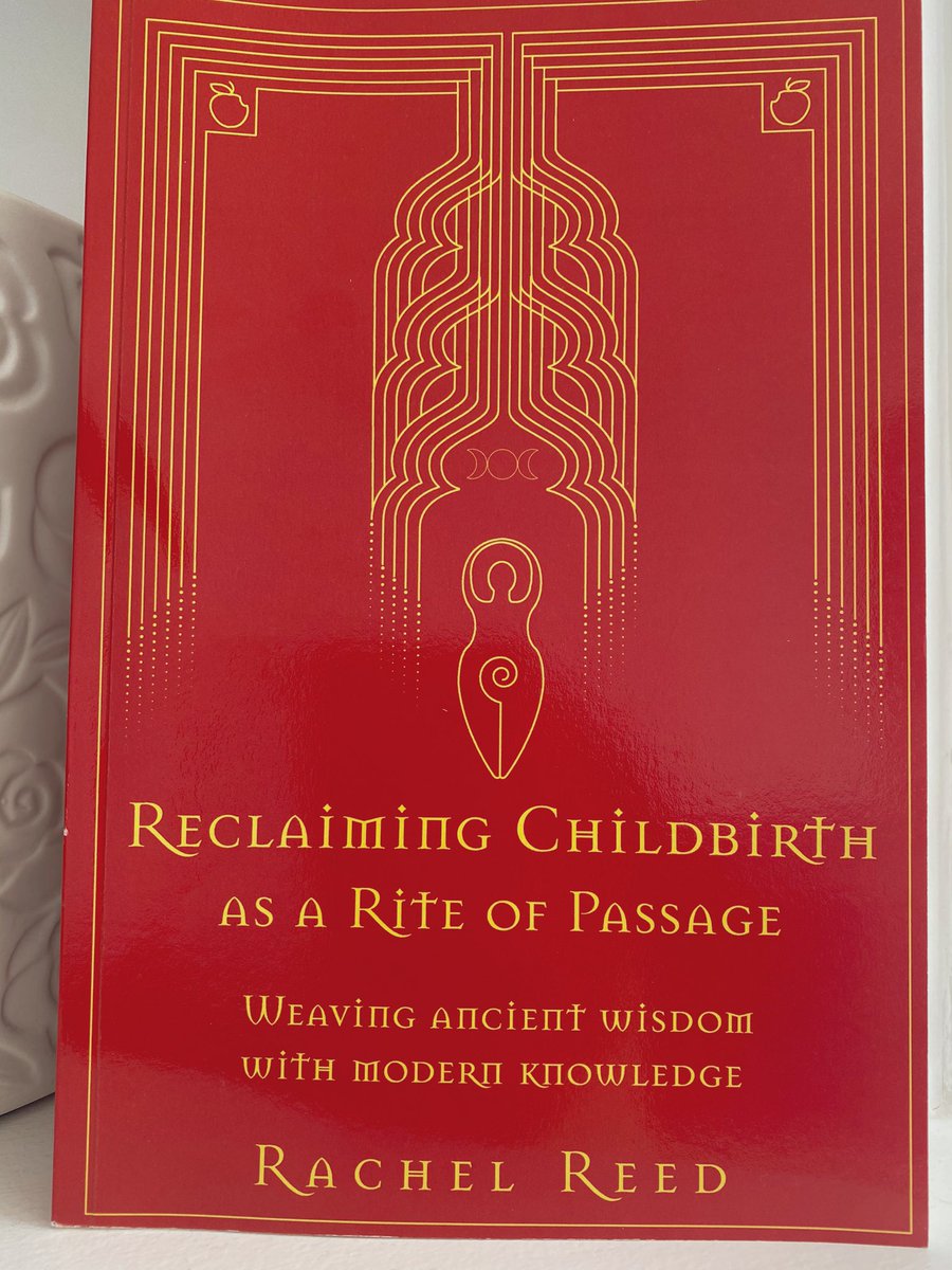 lia_bri's tweet photo. This is the second book written by @MidwifeThinking and it’s incredible, such a talented writer and colleague. I devoured it in two days ♥️ @world_midwives https://t.co/ZWLd1s0IuX