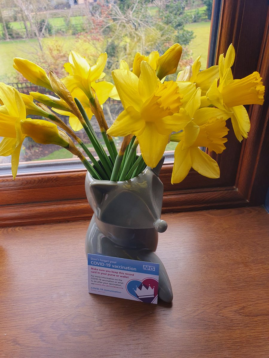 MrsTaylorEng's tweet photo. First covid jab done + my lovely #RandomActsOfKindness flowers are blooming 🌱💜 https://t.co/fmtxdvIXoU
