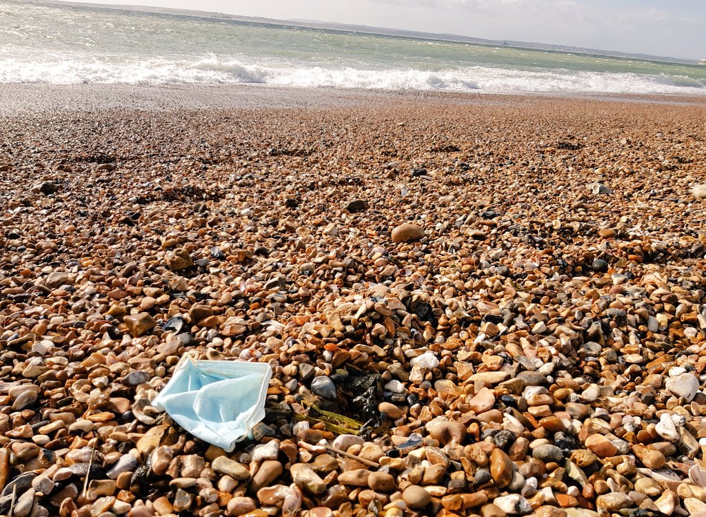 A beachclean is a great start to the weekend! 🙂 Filled a bag with litter including this mask and found a sea squirt, a sponge, crabs, a starfish, mermaids purses, plus shark, moon snail &amp; dog whelk eggcases <a href="/2minbeachclean/">2 Minute Beach Clean</a> #Portsmouth #southsea #nature #environment #wildlife