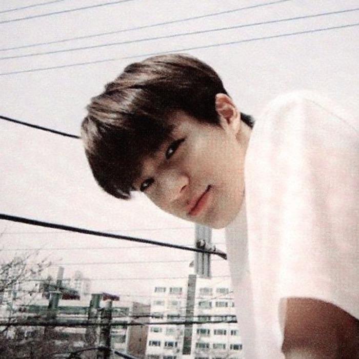 สมแล้วที่เป็นพี่น้องในจอยลดากว่าแปดร้อยล้านเรื่อง