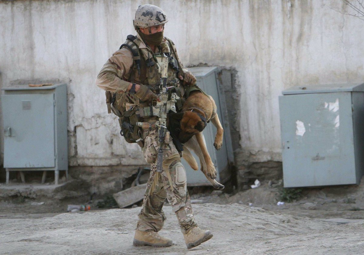#NationalK9VeteransDay 🐕 
En ce jour n’oublions nos compagnons à 4 pattes qui ont un rôle tout aussi importants qu’un homme dans les FS.
À l’image, un opérateur du SBS portant secours à son chien blessé.