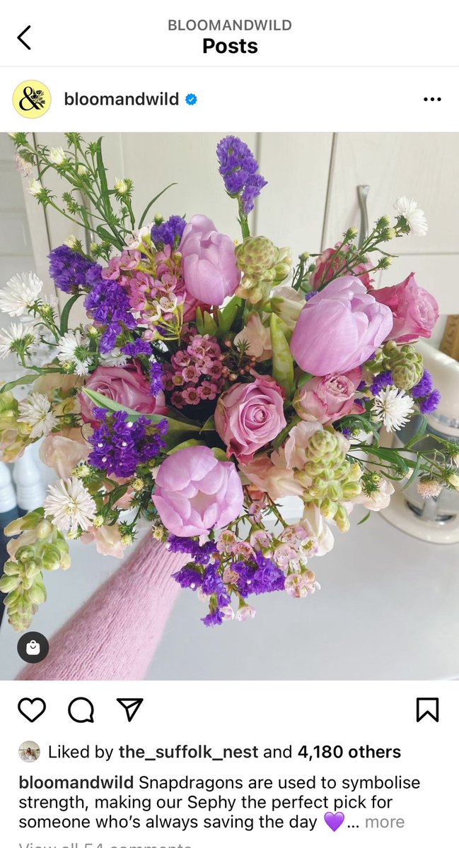 Stacey Brook tweet media