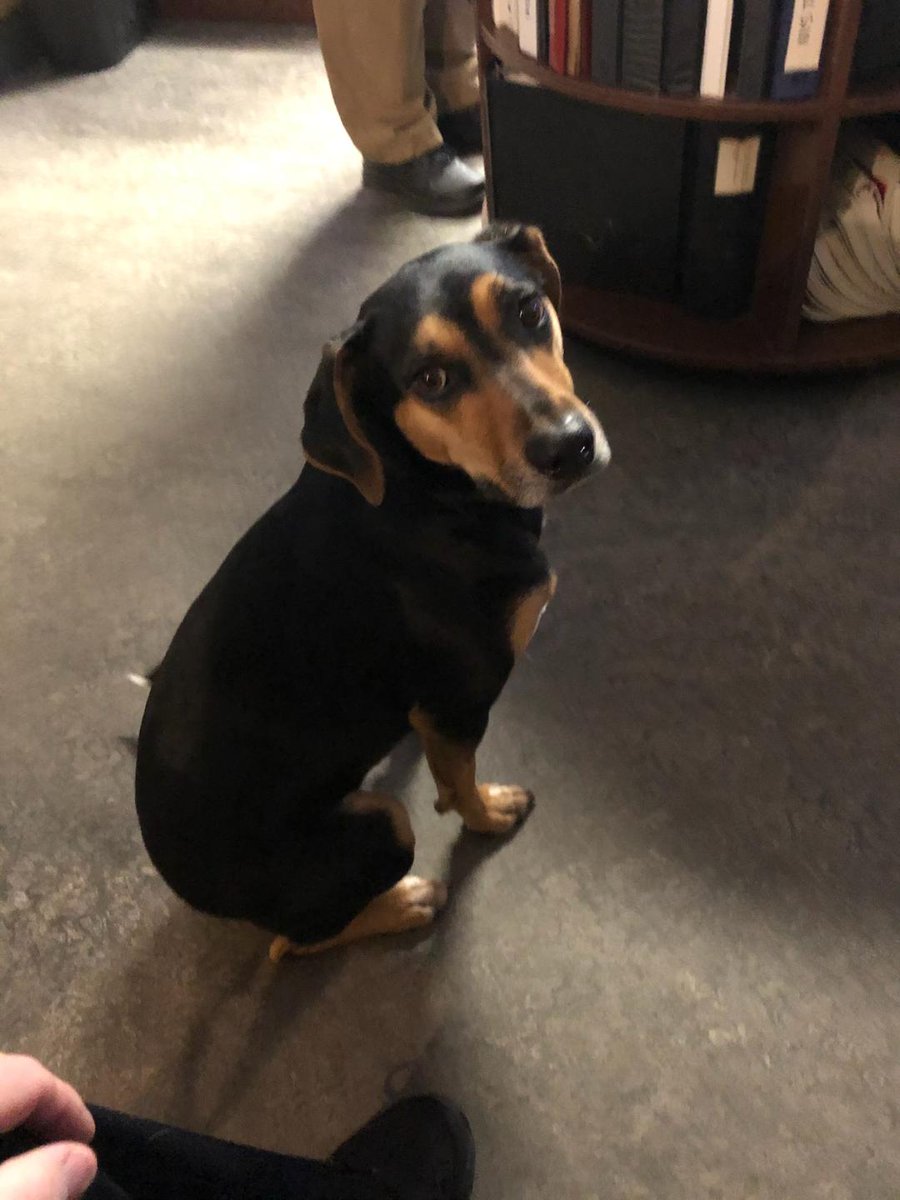 West Seneca Police tweet media