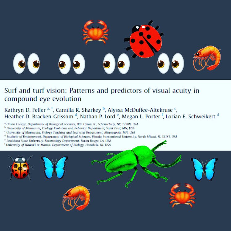 Union College Biology Department tweet media