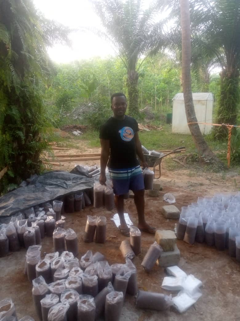 TreeGhana's tweet image. Spawning of #Mushroom growth medium at Busua, Western region, #Ghana Tree Solutions Ghana is committed to producing #organic #HealthyFood to boost #ImmuneSystem especially in forestalling the recent impact of the #Covid_19 #agriculture #farming #SustainableCommunities #Africa