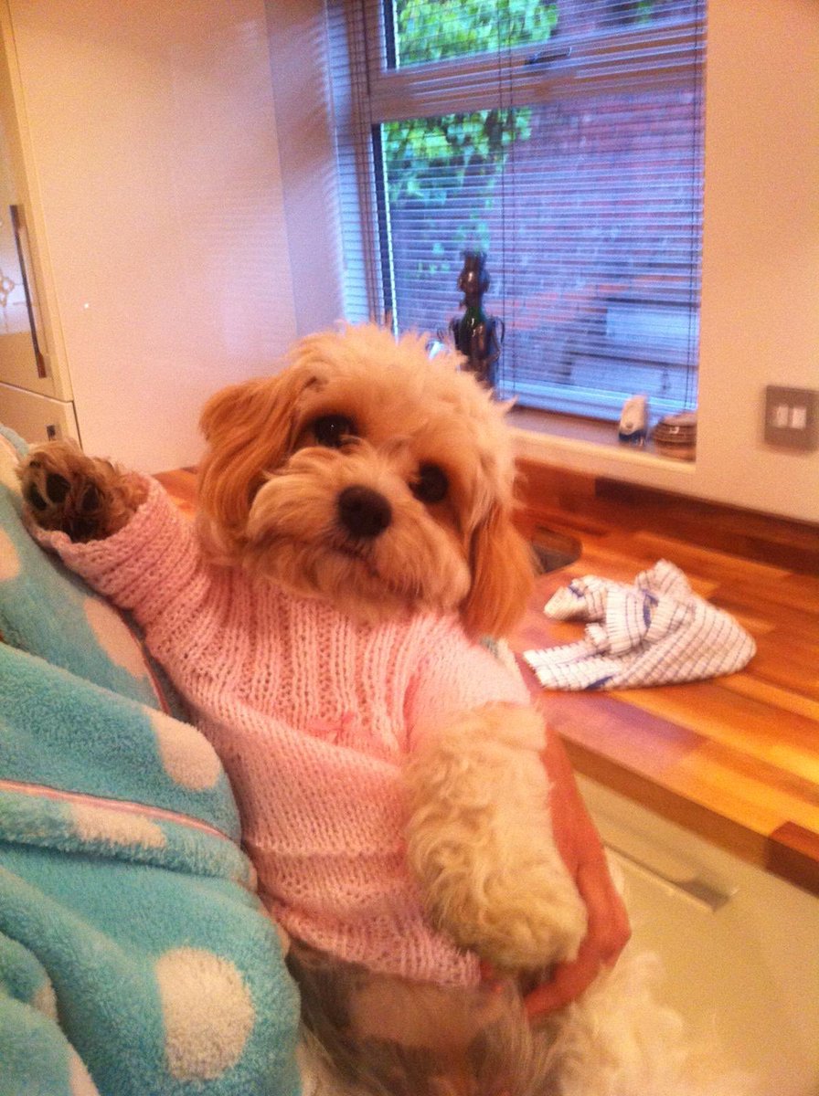 Stephen Richards tweet media