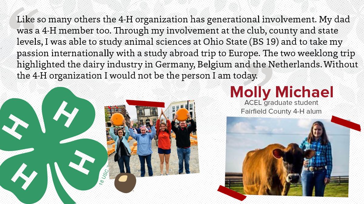 ACELatOSU's tweet image. Molly Michael turned her 4-H green and white scarlet and gray!

An alum of Fairfield County, Molly is a graduate student studying agricultural communication, education, and leadership.

#Ohio4H #Ohio4HWeek #ACELatOSU #OSUgradlove #CFAES