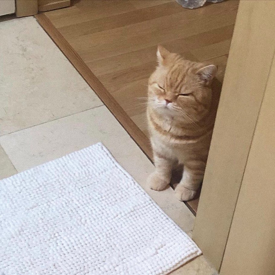 มาเอาไร                       มาขอไปบ้าน