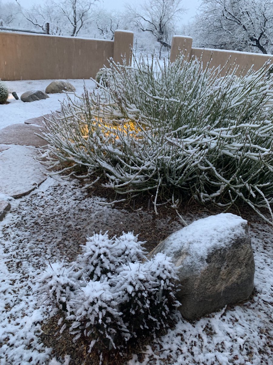 IT’S SNOWING. In Tucson. In March.