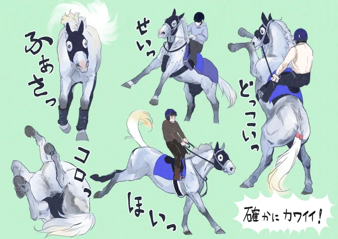 ゴールドシップは可愛い

という共通言語 