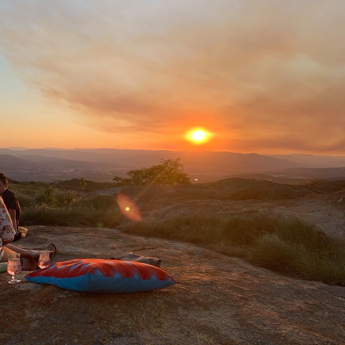 Ndhula Lodge tweet media