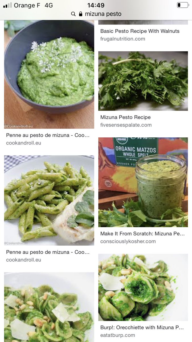 Taka09KMY's tweet image. すっかりヨーロッパでも流行ってる水菜。
水菜ペストというのがありまして。
要はジェノベーゼの水菜バージョン。

作り方も同じでフードプロセッサに水菜(ゆでたほうが色は良い)、パルメザン、オリーブオイル、ニンニク、松の実を入れてｳﾞｨｨｰﾝて回すだけ。
#農家漁師からのSOS #cookforjapan