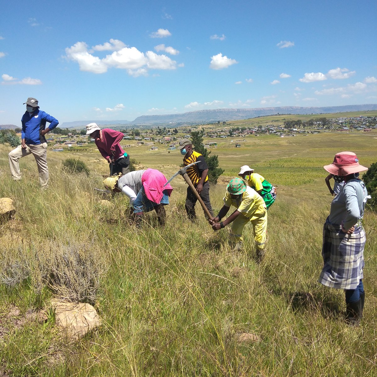 Ministry of Forestry Range and Soil Conservation tweet media