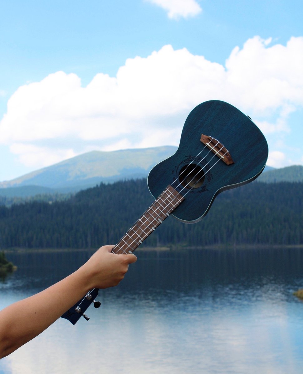 Flightukulele tweet media