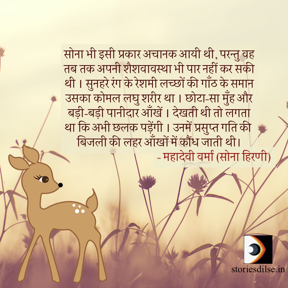 storiesdilse's tweet photo. पढ़िए महादेवी वर्मा की दिल छू लेने वाली यह सुप्रसिद्ध कहानी यहाँ: https://t.co/KGpvq9Gh28

#Hindi #हिंदी #कहानी https://t.co/UooKWqlwcH