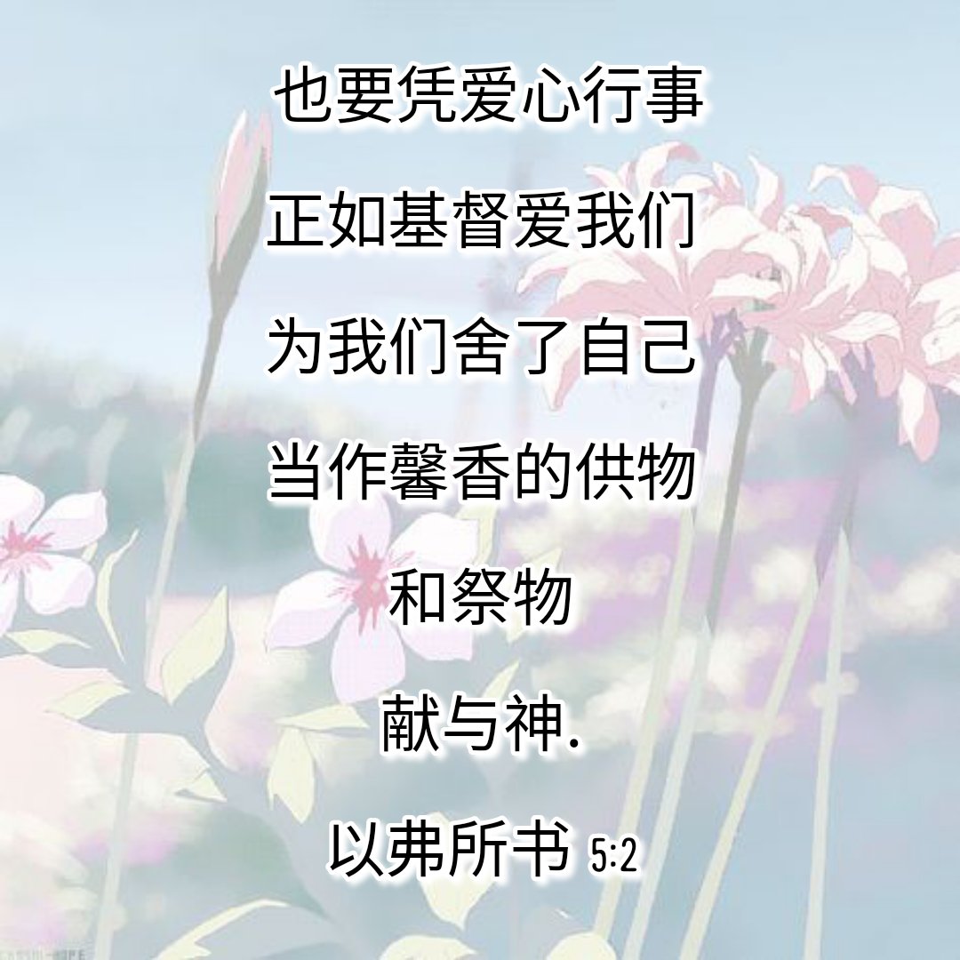 Healthwithjesus Healthwithjesus Twitter