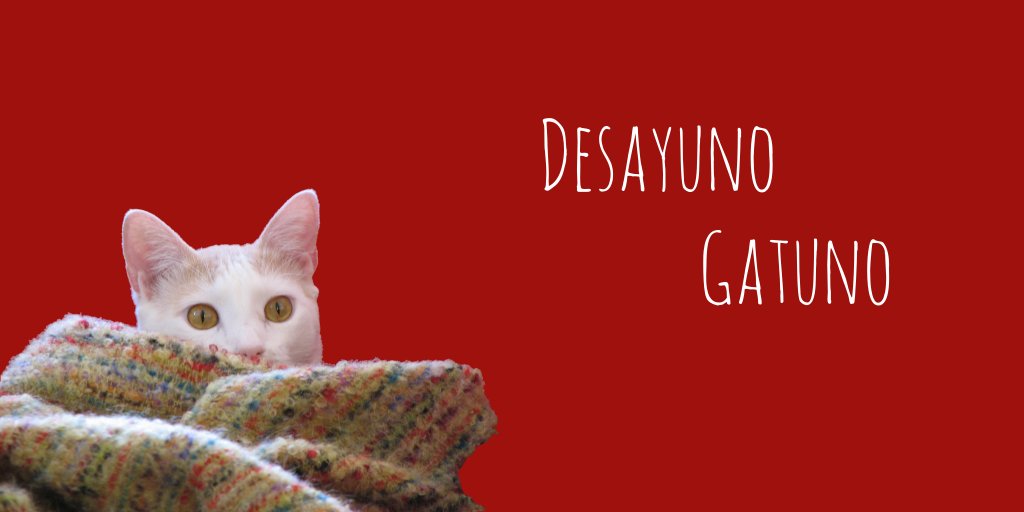bigotes de gato tweet media