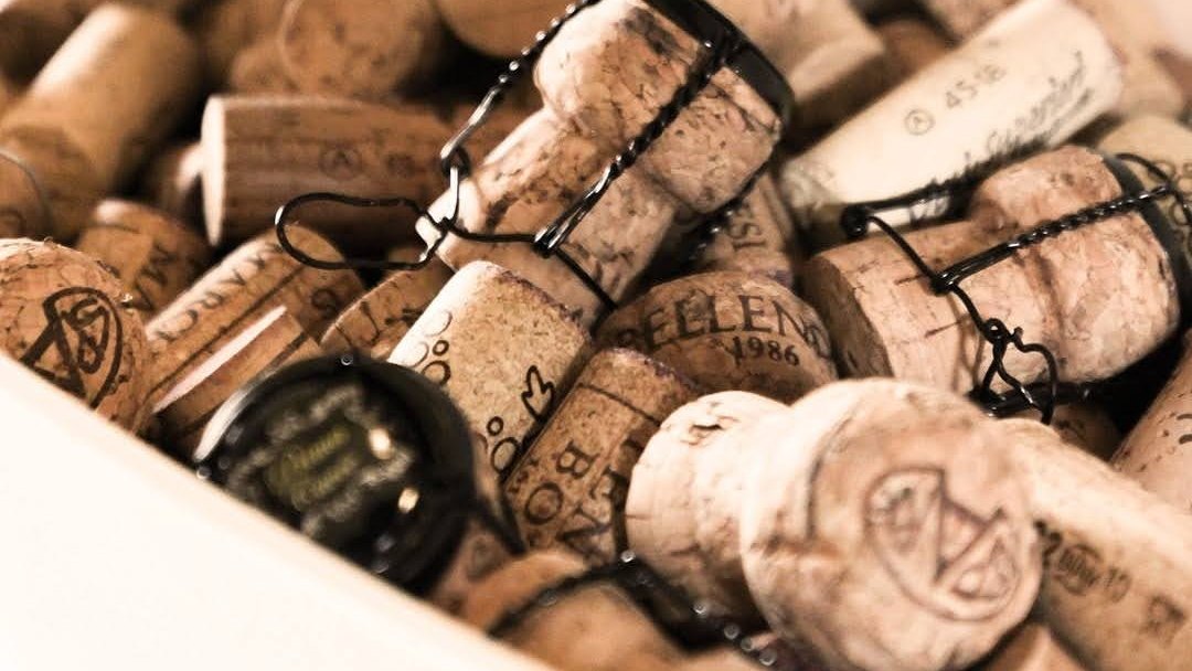 How many wine lovers do we have here? ✨🍷 All our bags are made from cork a 100% sustainable material 💚
#wine #winelover #corktree#naturalfashion #sustainablefashion #sustainableliving #sustainablebrand #sustainability #veganclothing #veganbags #animalfriendly #crueltyfree