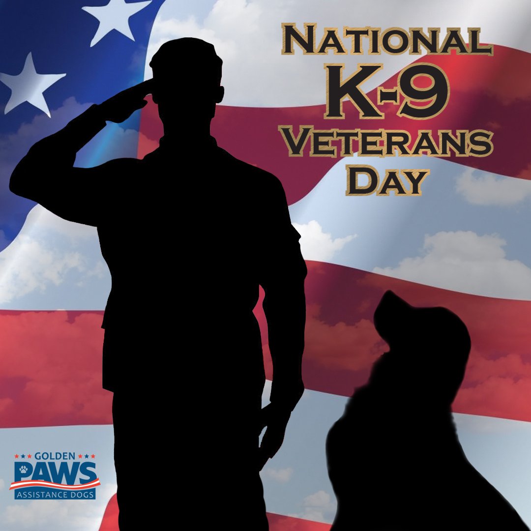 PAWSDogs_Naples tweet picture