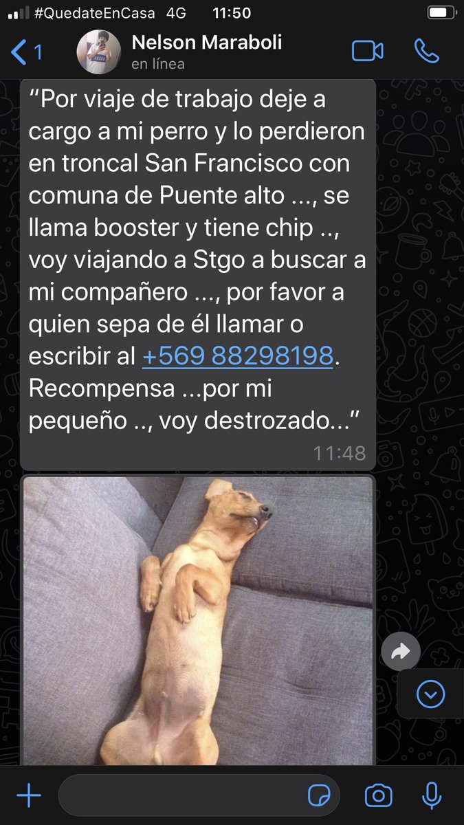 Joe Vasconcellos tweet media