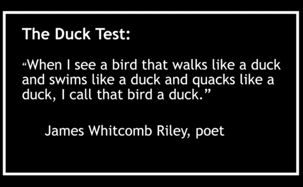 boy_xrp's tweet photo. Might have to come up with the 🐑 test 😆 .... replace bird with human and 🦆 with 🐑 😂 https://t.co/5hrIalNgs4