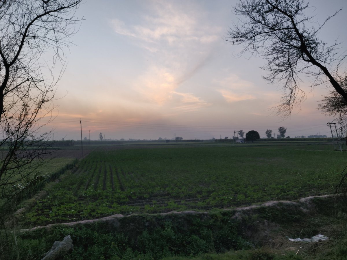 ashdravidian's tweet photo. Road trip 2021.
#DelhitoManali #roadtrip #travel2021 https://t.co/gzLiy9EMwK