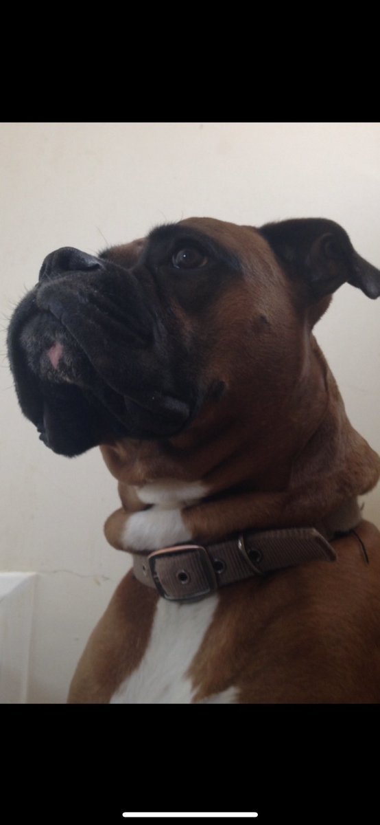 Mike Miller tweet media