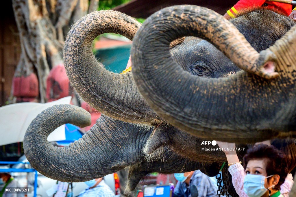 AFP Photo tweet media