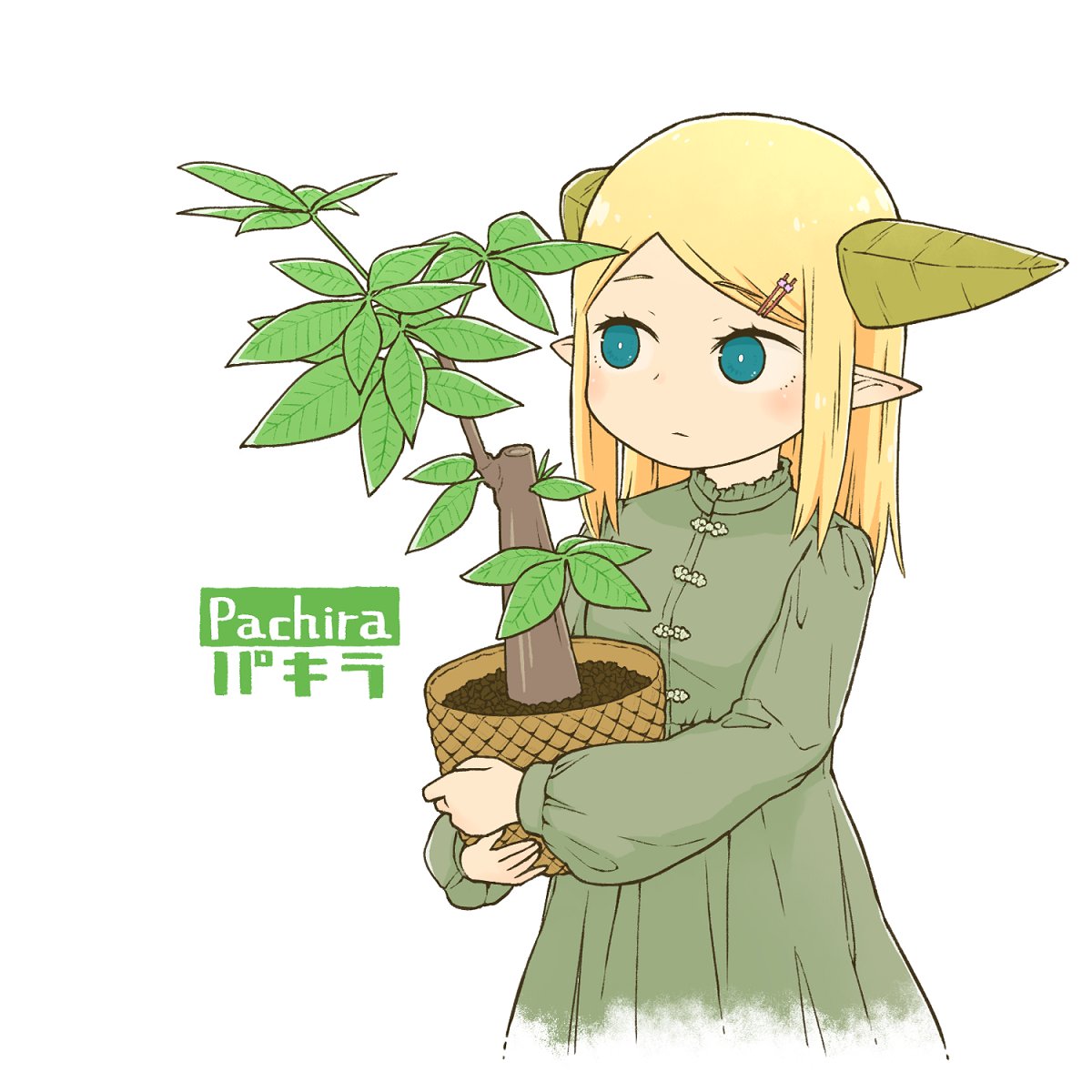 「少し大きめの観葉植物買おうかな 」|diodeのイラスト