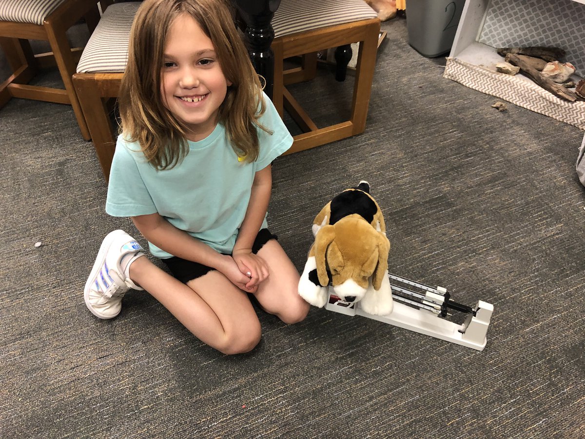 Calling all Animal Lovers!!  After reading “Measuring Penny” 2nd grade was ready for a “Paw-riffic Party”!  We brought our stuffed animal friends of all shapes and sizes and spent the day exploring measurement with our furry friends!! 
We had so much fun!
<a href="/HumbleISD_WCE/">Willow Creek Elem</a>