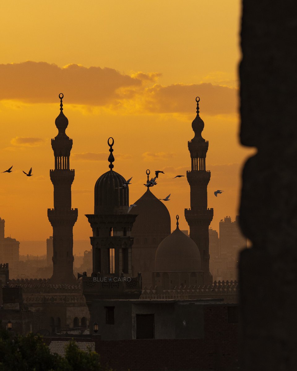 Arabbeau's tweet photo. Cairo - Egypt https://t.co/798QwkwYGF
