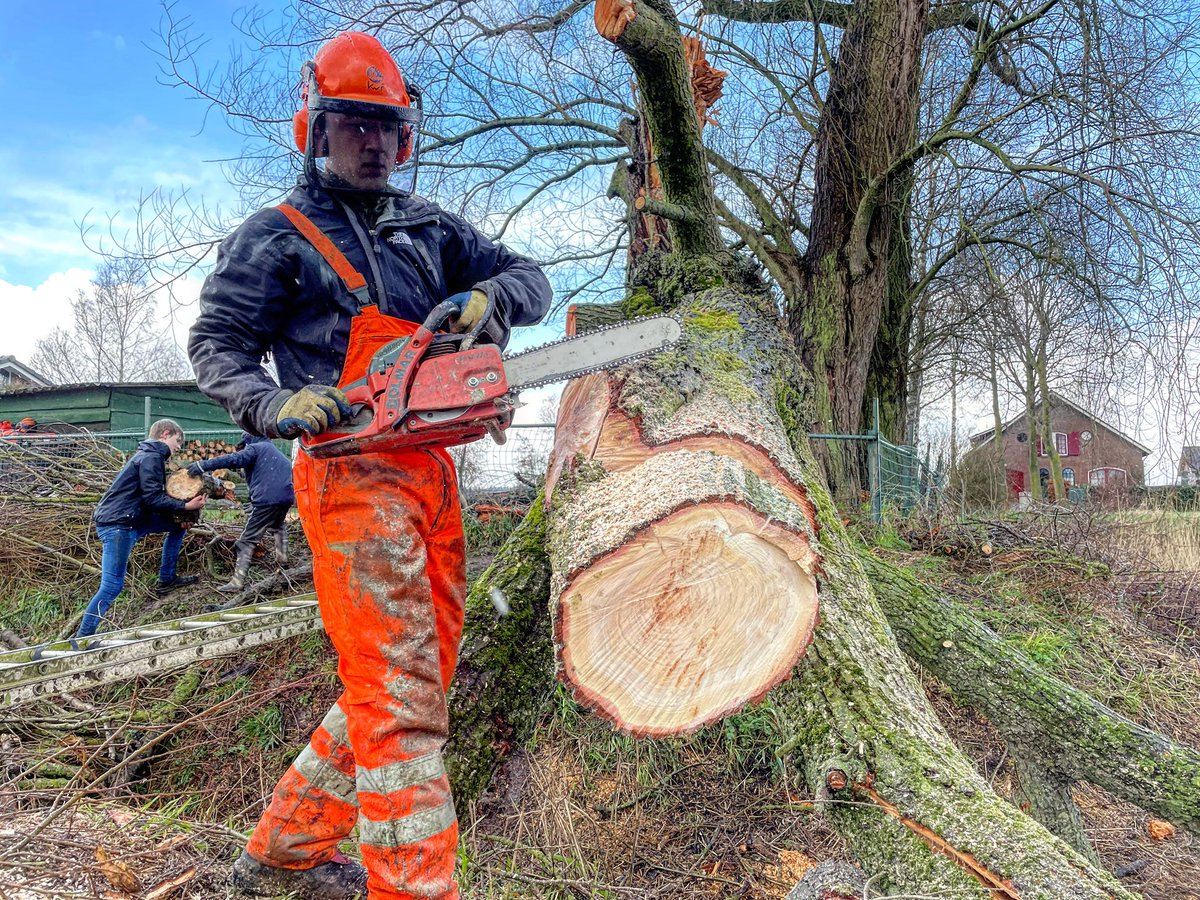 “zagen zagen wiede wiede wagen” 🎶