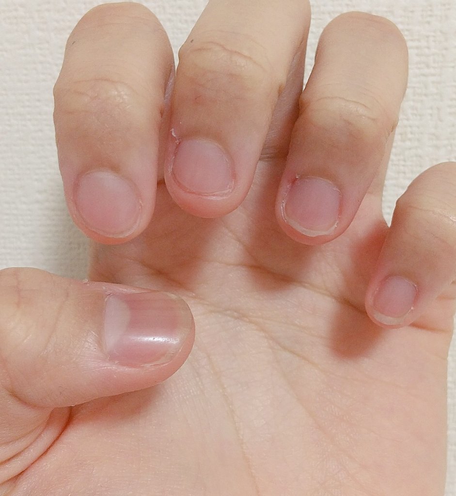 猫娘 Rquq2v3z4bmxyop Twitter 猫娘 Rquq2v3z4bmxyop Twitter