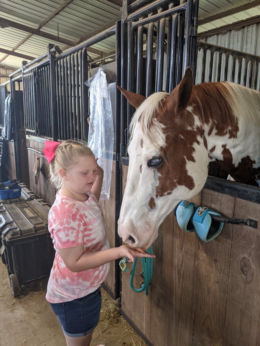 meblk's tweet photo. Thanks, @SwenkeCFISD garden, for a yummy treat for Newty-Boy! 🥕🥕🥕 #MissH #NewtonthePaint #LSRS https://t.co/0eQxtlbLQG