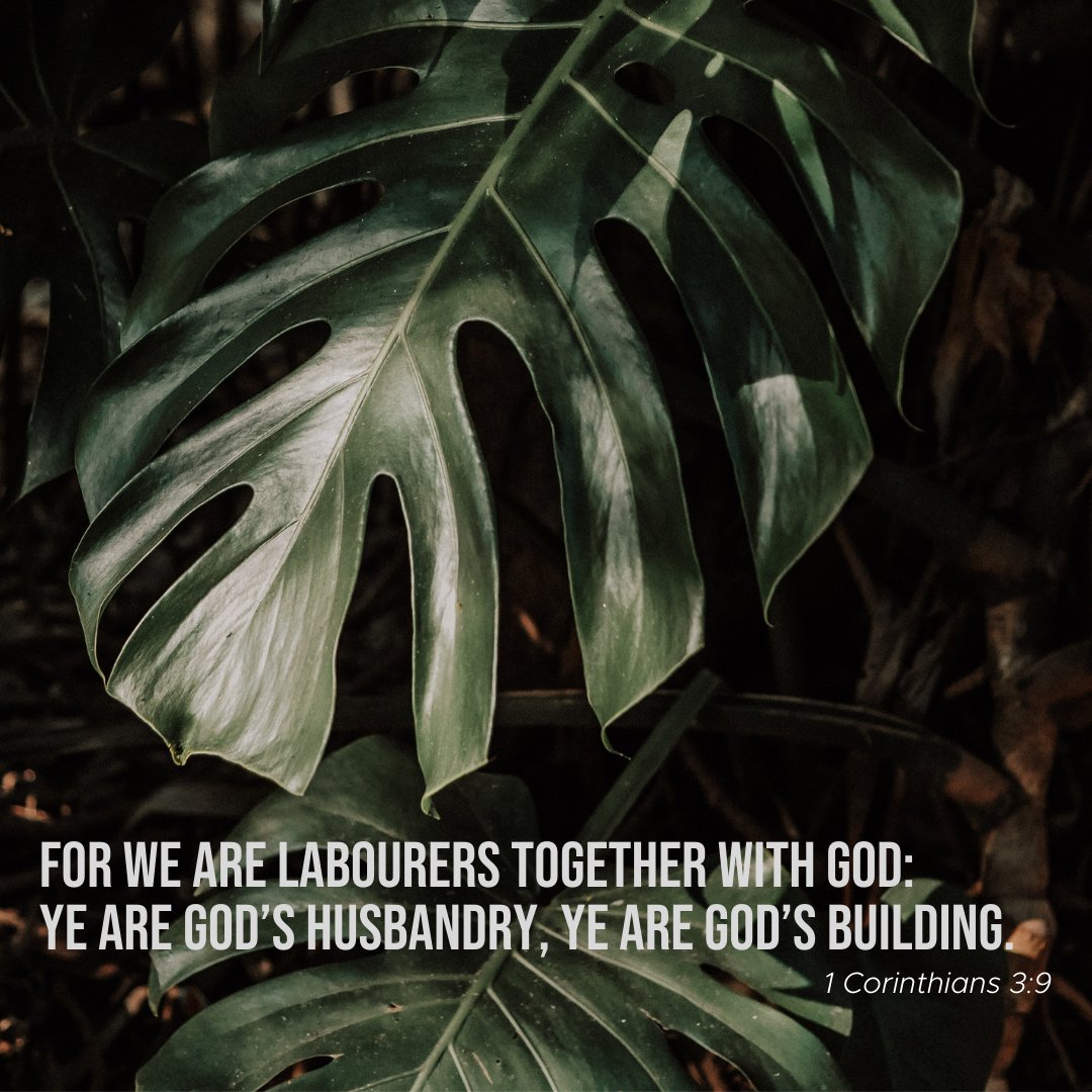 coastlinebc's tweet photo. We are to “labor.” We are to “labor” “together.” And we are to “labor” “together” “with God.”
#coastlinebaptistchurch #projectresurrection #stephenchappell #scripture #bible #dailyverse #2Corinthians https://t.co/q2fY3WkUUl