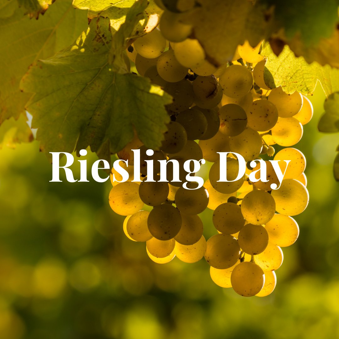 asisomms's tweet image. Today, we are celebrating a terroir-driven, aromatic grape variety that has found its home all around the globe: Riesling! Care to share your favorite bottle of Riesling #ASIsomms? #RieslingDay