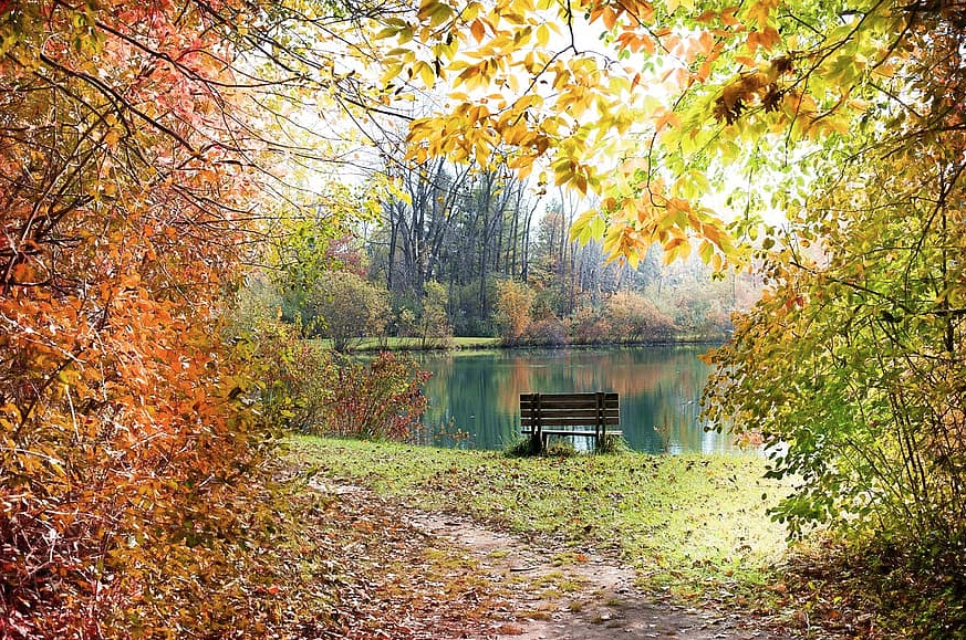 Helbaggoo's tweet photo. Era una tarde triste y no era invierno tampoco; era primavera --- era una tarde con poco sol y, del árbol caía una hoja a sus pies -- Para él que no estaba ya y, que se sentaba todas las tardes allí solo y en otoño a recordarla.🙍‍♂️☹️🌹❤️ https://t.co/wH7QvppstN