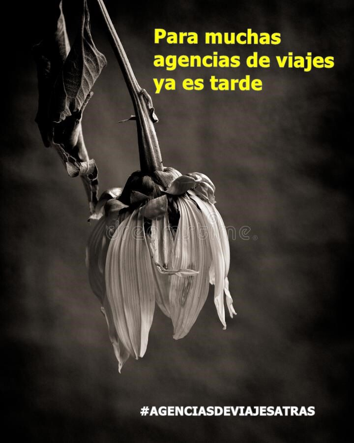 aavvcatalunya's tweet photo. #agenciasdeviajesatras Algunas ya no están, otros muchos han perdido sus trabajos. ¿Y ahora qué? 🆘🆘🆘🆘 @MarotoReyes @sanchezcastejon @PabloIglesias @mincoturgob @tv3cat @elsmatins @plantabaixatv3 @totesmoutv3 @Mes_324 @TelevisionEspa @DebatAlRojoVivo https://t.co/DligdxgBFF