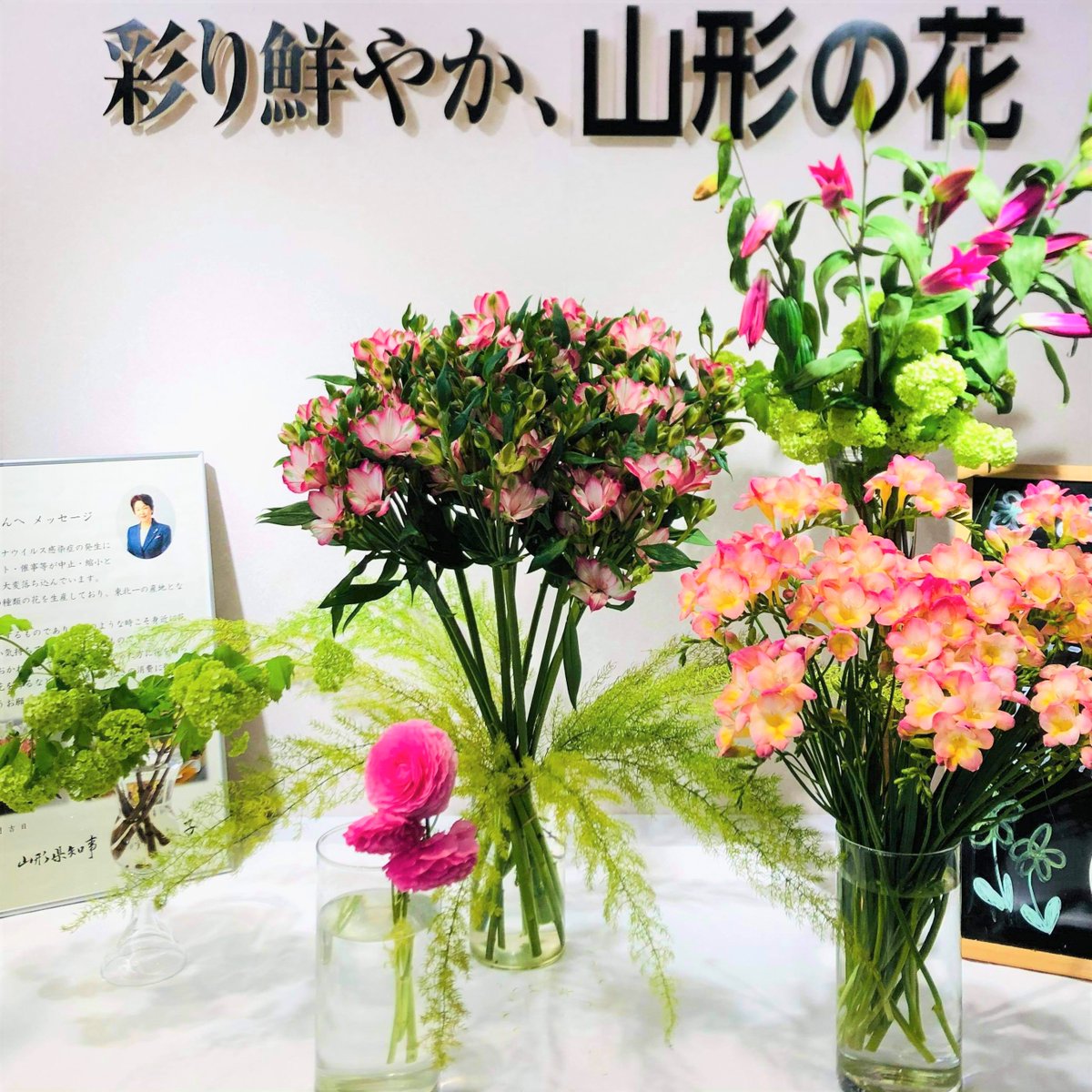 今日は ホワイトデー一般にバレンタインデーに贈り物をもらった男性が そのお返しを女性へ贈る日とされていますが 最近は性別やお 21 03 14 山形県のコロナウイルス最新情報 山形県庁 庄内コンシェルジュ 今日は ホワイトデー一般にバレンタインデーに贈り物をもらった男性が そのお返しを女性へ贈る日とされていますが 最近は性別やお 21 03 14 山形県のコロナウイルス最新情報 山形県庁 庄内コンシェルジュ