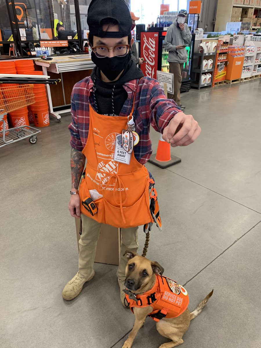 Meet Niko and Jase!  Jase is Nikos service dog and is enjoying the Orange Life!  #THD2817 <a href="/HanzlikJoe/">Joe Hanzlik</a> <a href="/rymoflan/">Ryan Flanagan</a> <a href="/sharoninrussia/">Sharon P</a> <a href="/THDSarahLFred/">Sarah Fredrickson</a>