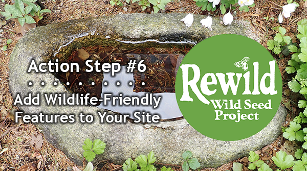 Rewilding Action Step #6: Use non-plant features to help wildlife, like less light for night-pollinating moths; bird baths; &amp; boxes for birds, bats, &amp; bees.

Pledge to Rewild (bit.ly/pledge-to-rewi…) and get free info and resources. #PledgeToRewild10ActionSteps #PledgeToRewild
