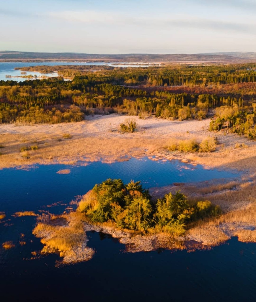 allaroundeire's tweet photo. Where Lough Derg meets Portumna Forest Park 🚣‍♀️🌳

#portumna #visitportumna #galway #ireland #visitgalway #discoverloughderg #thisisgalway #loughderg #portumnaforestpark #irish_daily #inspireland #bestirelandpics #bestnatureshots https://t.co/ofm0ejniwO https://t.co/hc8Cvm3lGI