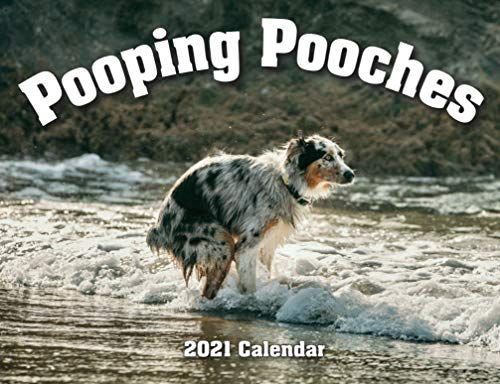 Know someone that loves their dog a lil too much? 2021 Pooping Pooches White Elephant Gag Gift Calendar. $16.99 buff.ly/3cuqfdh #doglover #doglovers #dogloversofinstagram #dogloversonly #dogloverstagram #doglovergift #DogLoverz #dogloverbut #dogloversforlife
