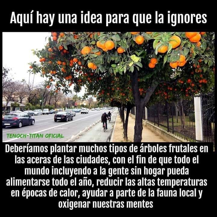 EcoInventos's tweet photo. ¿Qué opinas de plantar árboles frutales en las ciudades? 🤔 https://t.co/Vc0N3k6KSO