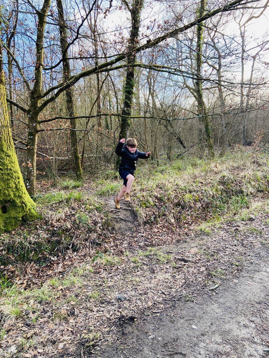 hallamtweets's tweet photo. One boy and his dog 🐶 exploring the woods before tonight’s #lockdownsaturday commences 🥂❤️🍸😅 #Blessed 🙏 ☁️ 🌳 https://t.co/5G2DE3Ims7