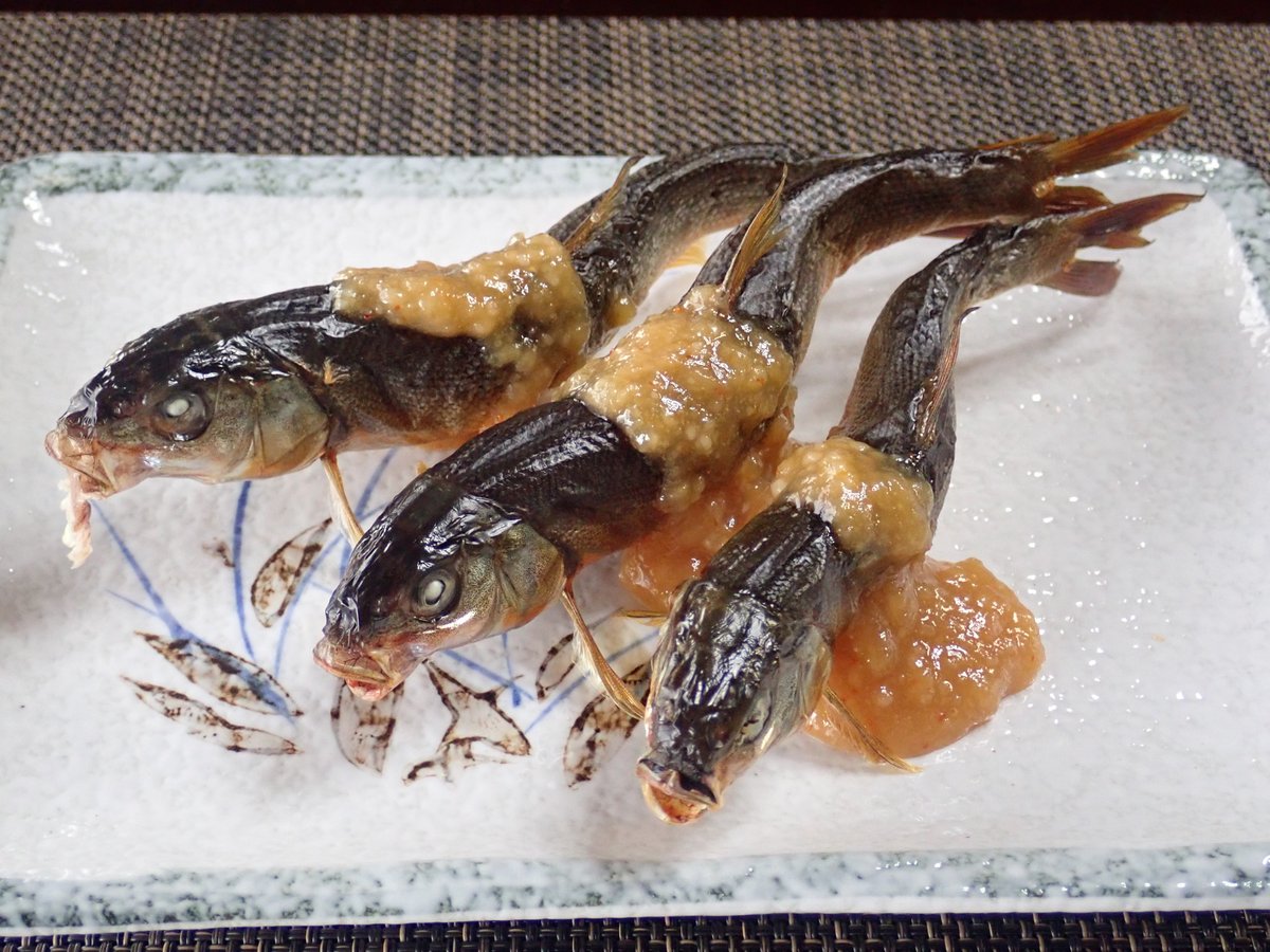 魚滋会 魚滋会